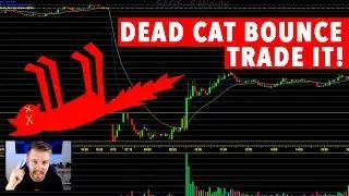 Day Trading DEAD CAT BOUNCE! TRADE IT!
