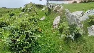 Take me to the Island -
