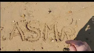 ASMR In Nature (Forest and Beach) ​🌳​🌊​🌞​