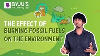 Effects Of Burning Fuels On The Environment