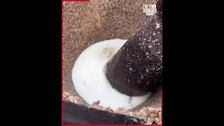 Most unique 500 year old street food recipe, I can't stop watching