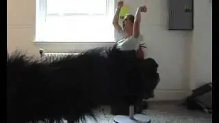 GORILLA TERRORISES CHELSEA COLLEGE OF ART AND DESIGN WHILE I PLAY UNFITTING MUSIC