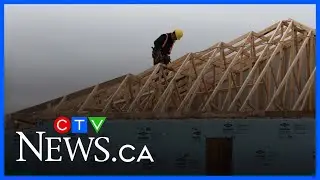 New &lsquo;Build Canada Homes&rsquo; project &lsquo;is no miracle&rsquo;: MP Aitchison
