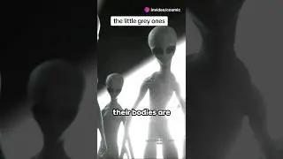 the little grey ones #alien #greys #documentary #explained #cosmic