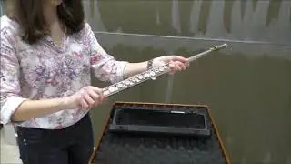 De dwarsfluit in elkaar zetten