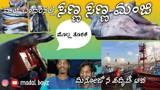 malpe port tour 💥 | madal boyz 😍 | fish market 🐠 | new vlog ❤️