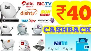 HOW TO RECHARGE YOUR DTH|| PAYTM NEW OFFER ₹40 CASHBACK ON DTH RECHARGE