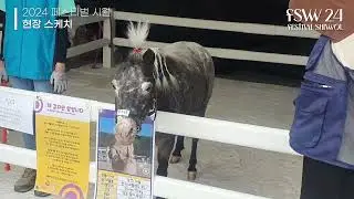 2024 FESTIVAL SHIWOL 페스티벌 시월 [현장스케치]
