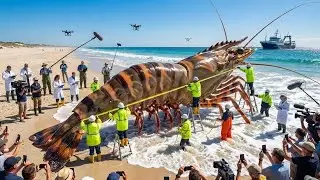 Shrimp Explosion at Sea – The Most Insane Black Tiger Shrimp Haul Ever Recorded!