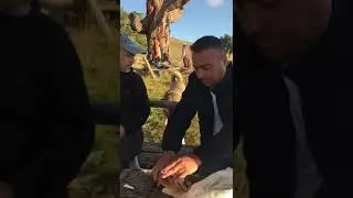 Kalınpınar (yalnıztepe) yaylası