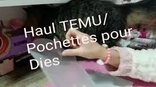Haul temu scrap/ Pochettes pour rangement des dies j'adore 