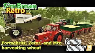 Fortschritt, Zetor, Mtz harvesting wheat / Farming Simulator 19 / FS19, LS19