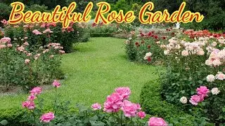 The Most Beautiful Rose Garden| Relaxing Garden Tour| Summer Flower Tour| Garden Tour