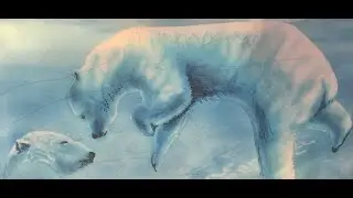 Famous Popular San Diego Zoo Brazilian Tree Porcupine Leopards Eagles Polar Bears and More