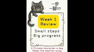 Daily Chinese Character Day 6 - Week 1 Review #chinese #chineselanguagelearning #中文字 #一日一字