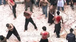 Qama Zani : Rituals of Muharram