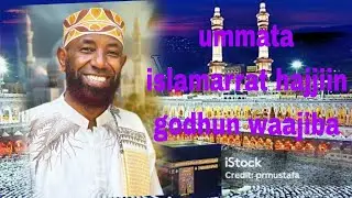 Shekh Amin Ibro Hajijin islaamaa wajibaa irati