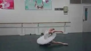 Ballet (Zhuoyan Ma's art supplement)