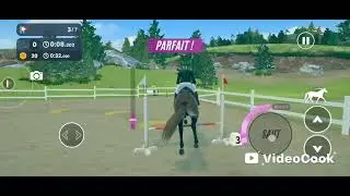 Pr&eacute;sentation de mon deuxi&egrave;me cheval ark un selle fran&ccedil;ais