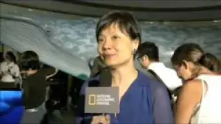 Audrey Eu-What you do, counts
