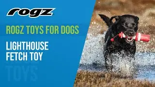 Rogz Toys for Dogs - Lighthouse Fetch Toy (French)