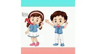 2&ordm; ano - Human Body - Teacher Renara