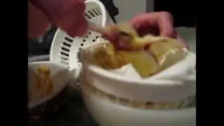 canary, hand feeding a baby canary