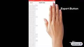 Export Apple Watch or iPhone data to Excel