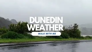 Crazy Dunedin Weather 🌧