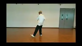 Huang Ping Knar- Cheng Taiji 37-LanQueWei-L&R Movements-S'pore Oct 2017
