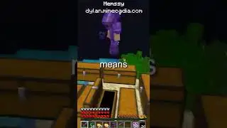 I Found a HACKER Raiding My Skybase