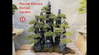 Pt. ① Master Masahiko Kimura's Bonsai Garden 2019