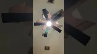 MAKING THE LARGEST MOTH WITH PAPER MACHE PT.2