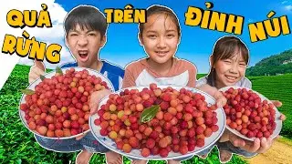 Th&aacute;i Chuối | Dẫn Team Đi Vặt Thanh Mai Rừng - H&agrave;nh Tr&igrave;nh Leo N&uacute;i Gian Nan Vất Vả