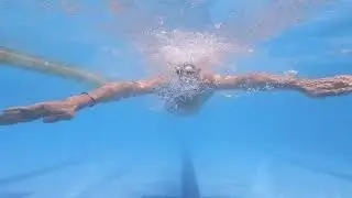 Pool  Swimming  Architecture  Drone Aerial View    Free HD Videos   no copyrights HD