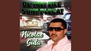 De trei zile sunt plecat