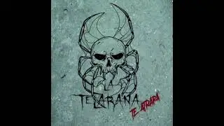 La Telara&ntilde;a 