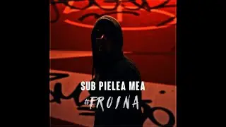 Carla&rsquo;s Dreams &ndash; Sub Pielia Mea | REMIX (SLOW-MO VERSION)  #eroina​