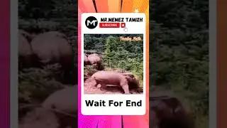 Tamil Dank Memes Part-30 🤣🤣| trending theeviravadhi | tiktok funny videos #shorts #shortsfeed