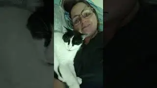 Porque &eacute; amor #cat #ㅇyㅇ #cute #gato #love #amor #cora&ccedil;&atilde;o #petsfofinhos #youtubers #gatos