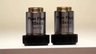 Coverslip Correct vs Long Working Distance