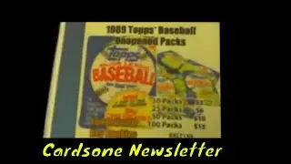 Cardsone Newsletter