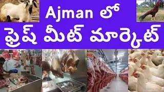 అజ్మాన్ లో మాంసం 🥩 మార్కెట్ ఎలా ఉంటుంది??? ఏముంటాయ్??? || Ajman Meat Market