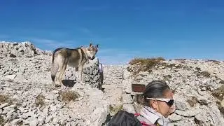 Ortigara, Altopiano di Asiago sentieri della grande guerra.
