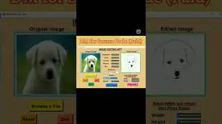 Image Editing App using Python Tkinter.    #codelife #python #pythontutorial #pythonforbeginners