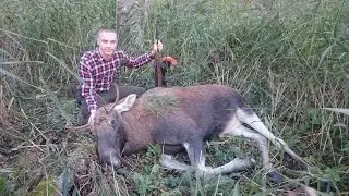 Взял быка с подхода в ветреную погоду с...