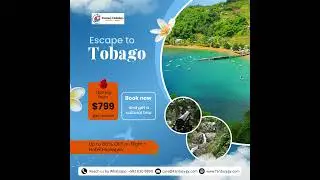 Tobago&rsquo;s Crown Jewel! 🏖️