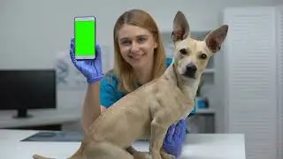 smiling animal clinic doctor showing green screen