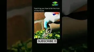 This Toothpaste Trick and hack Is Genius 🤯 #hacks #live #live #android #livehacks #diy