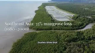 What Aquaculture Isn&rsquo;t Telling You: The Science Behind Its Environmental Impacts 